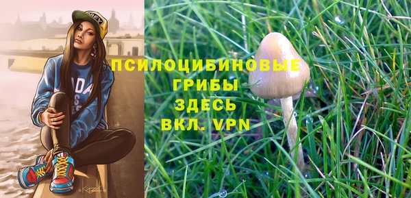 PSILOCYBIN Армянск